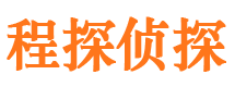 盐津侦探公司